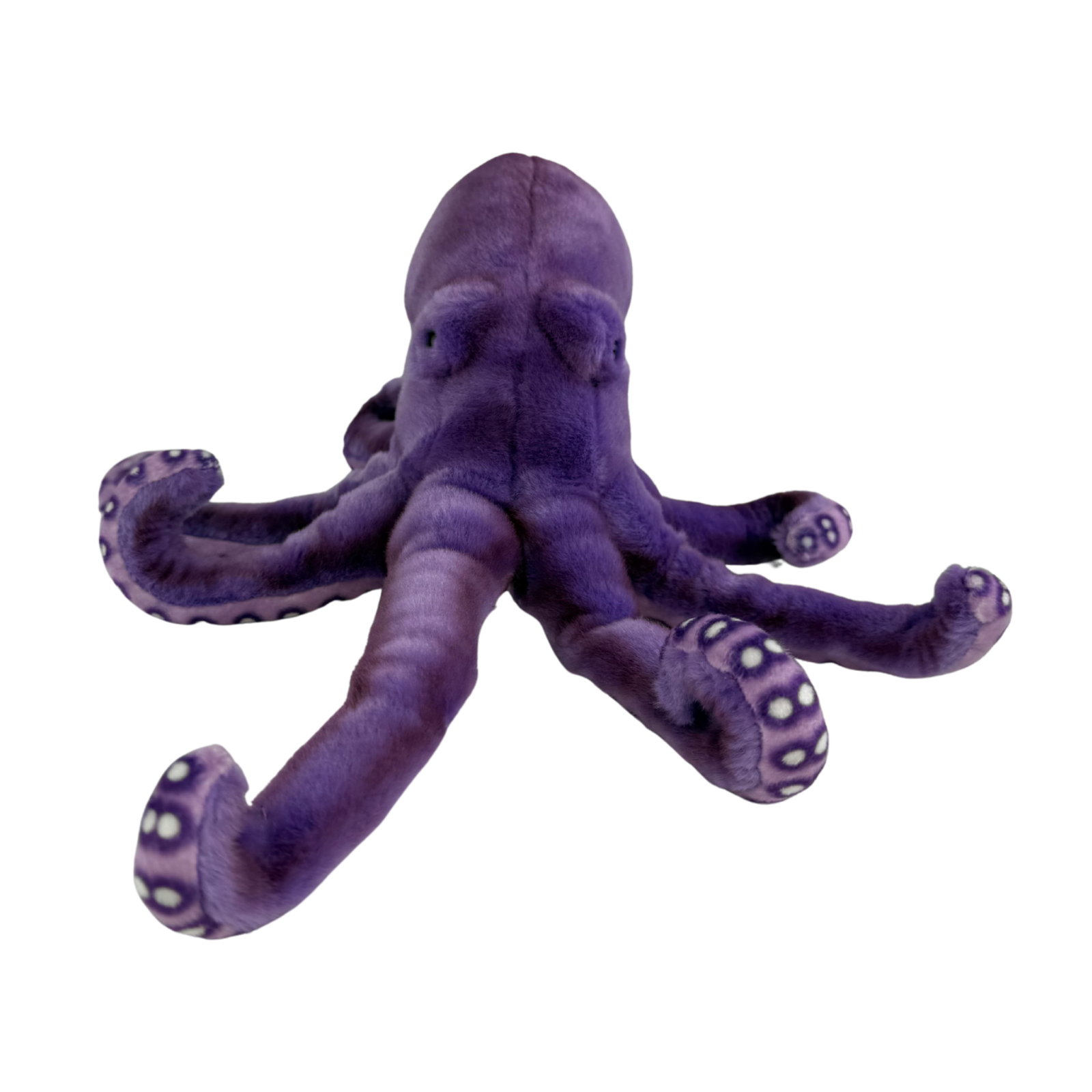 Bocchetta Plush Toys - Wholesale Stuffed/plush toy – Kids & baby - Nate - Octopus, purple - 32cm6