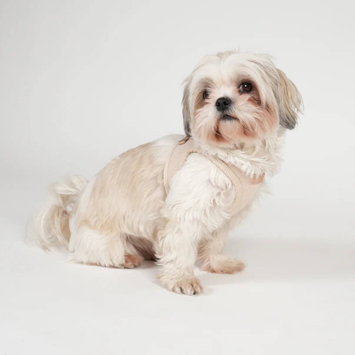 Staey - Wholesale Pet Harness - Dog - Saga Step-In Dog Harness | Light Rose1