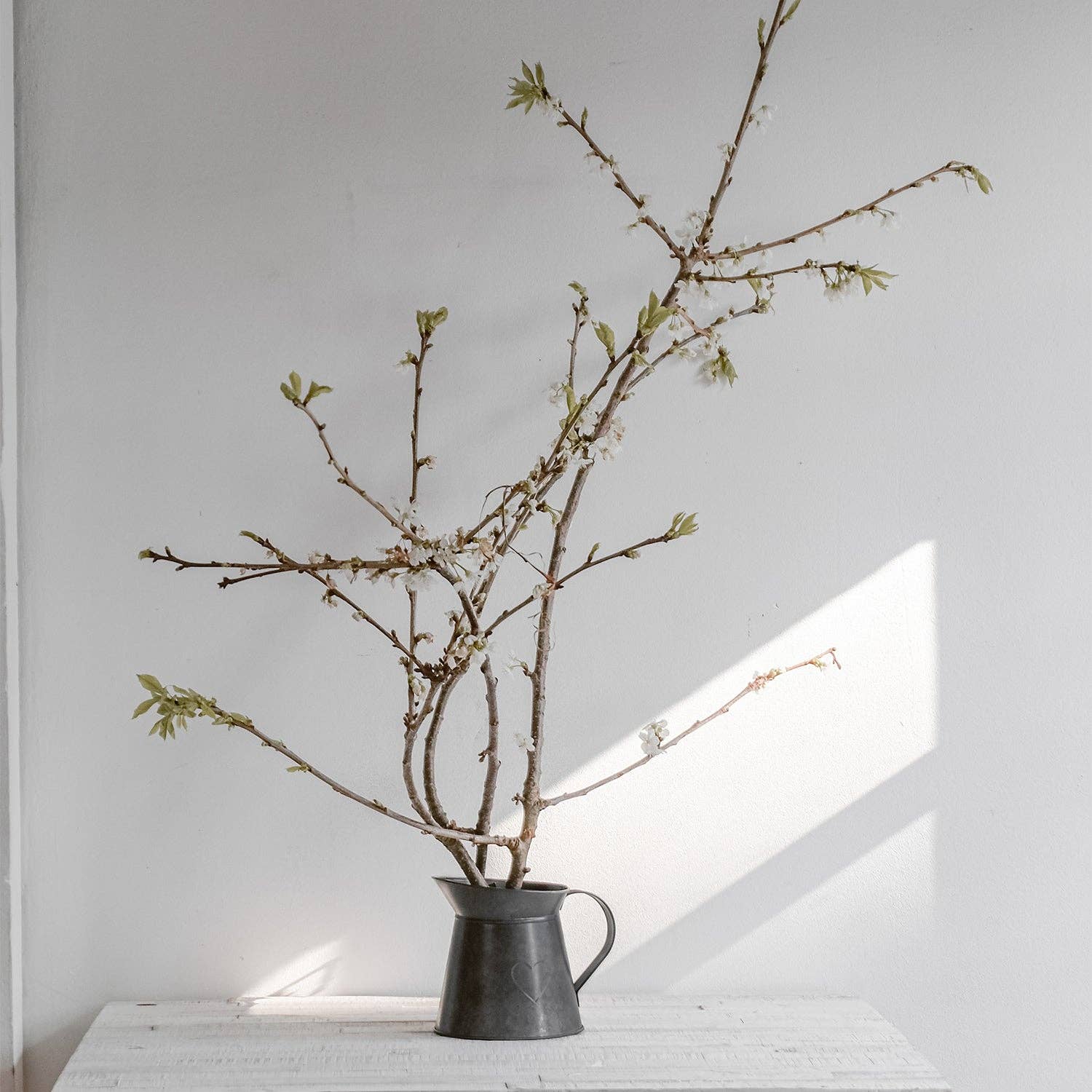 Eulenschnitt – wholesale Kanna – Metallkanna med hjärta, 6-pack1