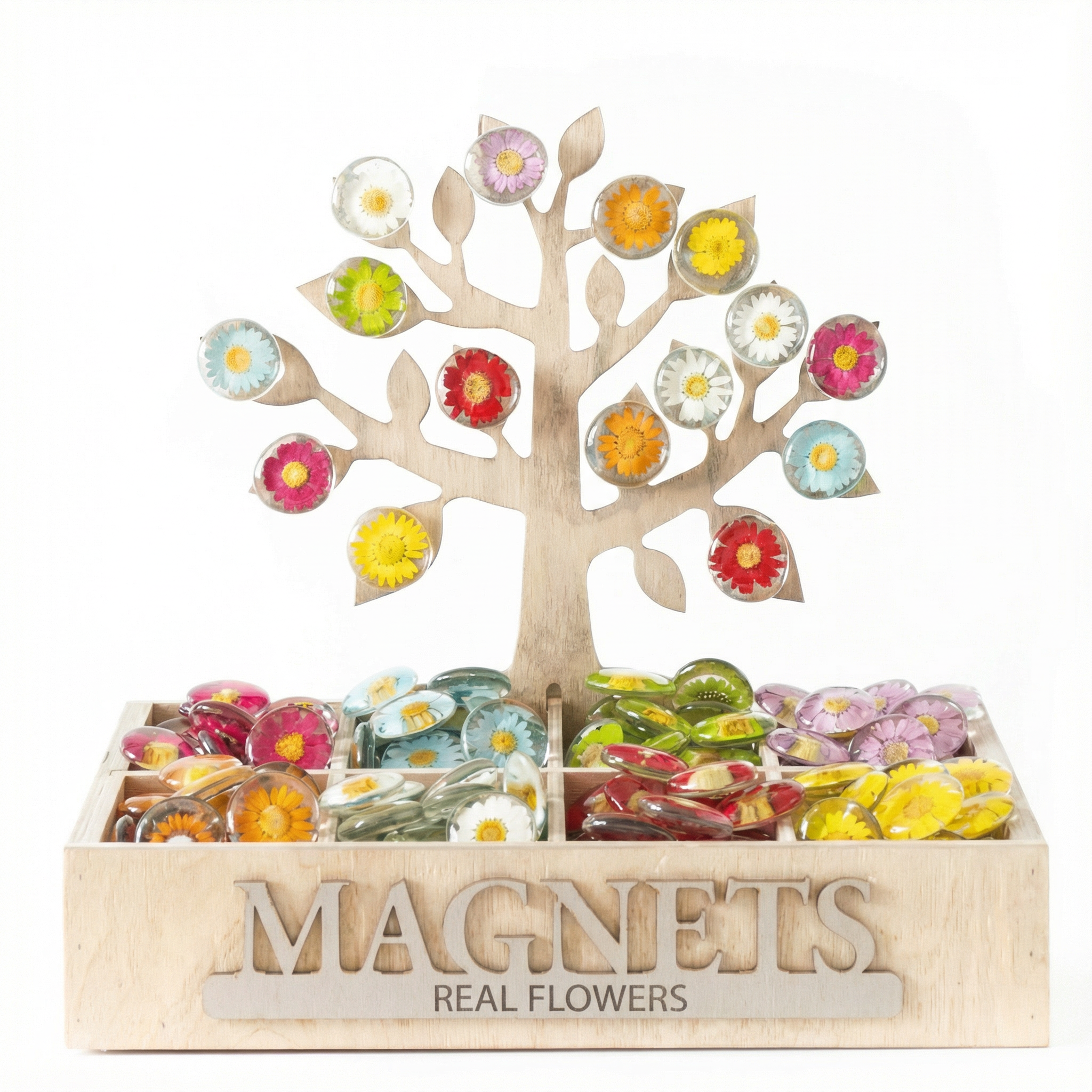 Sunnie Lane – wholesale Magnet – Real Flower Magnet - Glass Magnet12