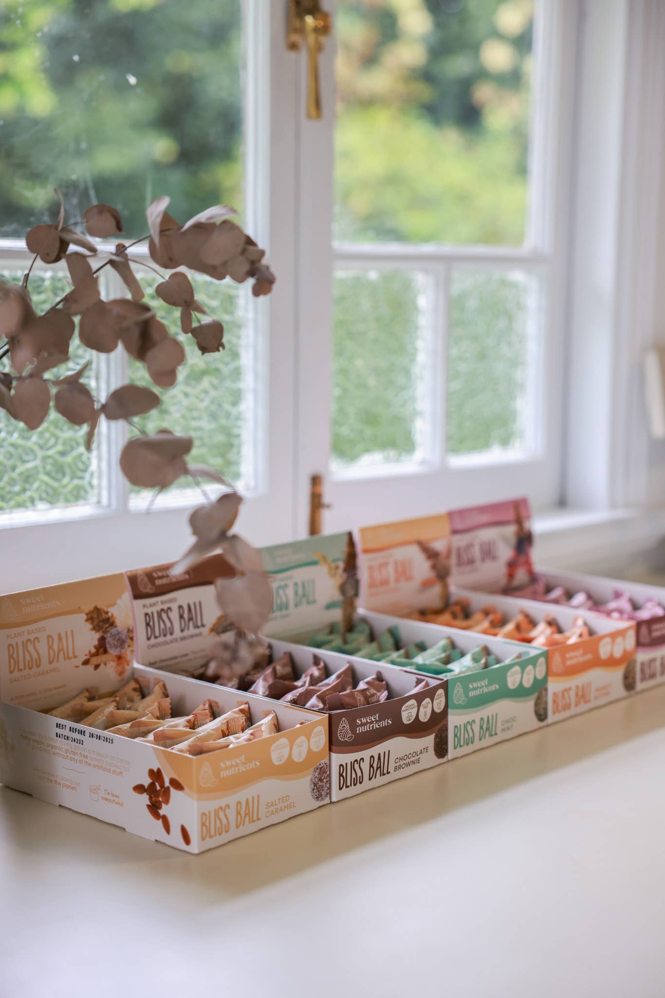 Sweet Nutrients - Wholesale Snack bar - Mixed Berry Bliss Balls4