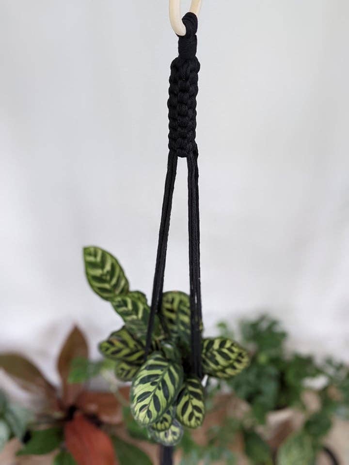 Leaf and Cord - Wholesale Hanging Planter - Macrame Plant Hanger - The Juniper7