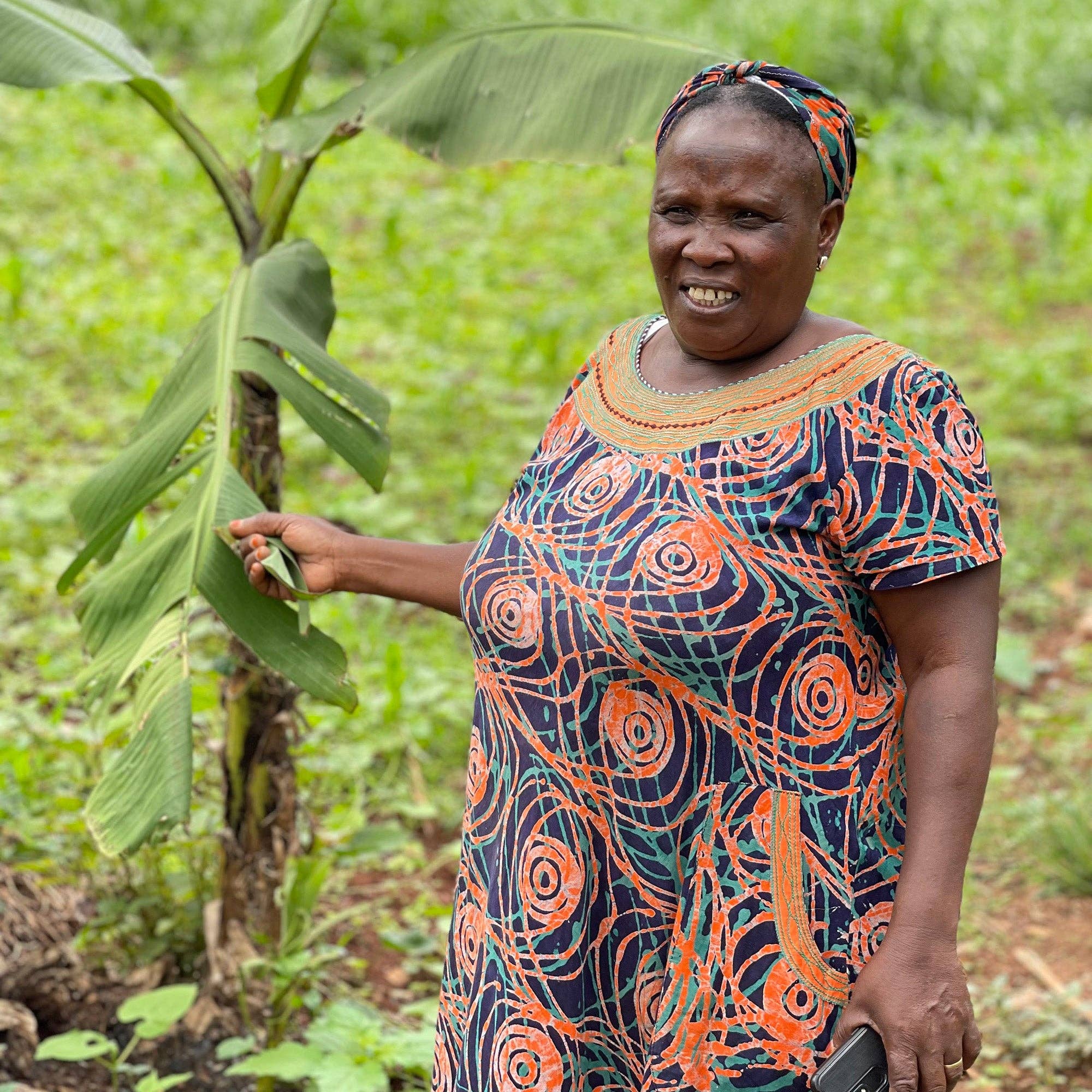 Global Crafts - Vendita all'ingrosso Scultura - Grande scultura di animali Zebra Safari in fibra di banana6