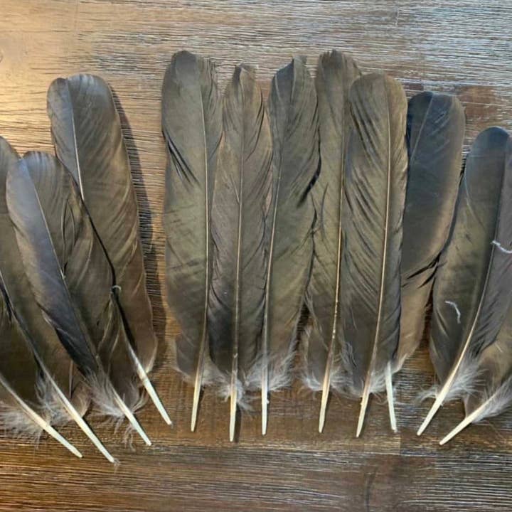 Plumes Naturelles - Wholesale Feathers - Natural crow feathers1