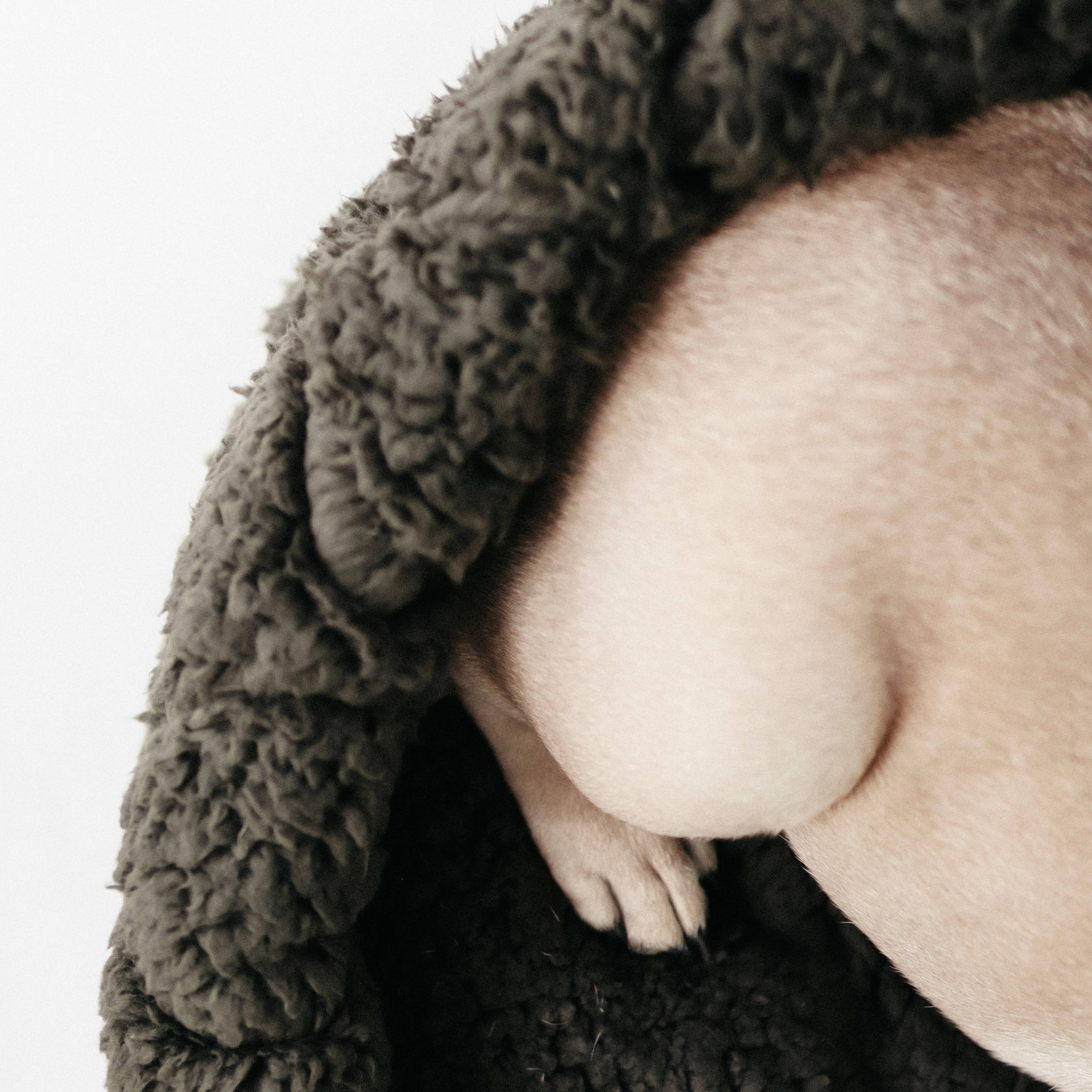 Lambwolf Collective – Engroshandel Seng - Hund – TAART hundeseng med bølget quiltmønster og vendbar side8