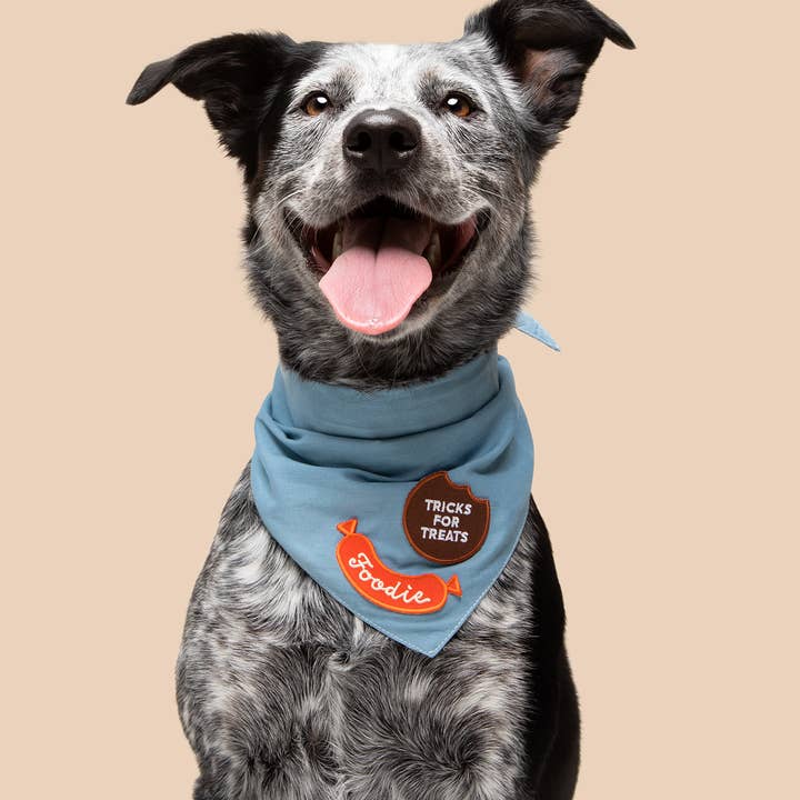 Scout's Honour Pty Ltd - Wholesale Pet Bandana - Dog - Dog Patch Bar | Loose Iron-On Patches (Pack of 36)3