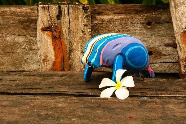 Ocean Sole - Wholesale Sculpture - Manatee Flip Flop Sculpture4