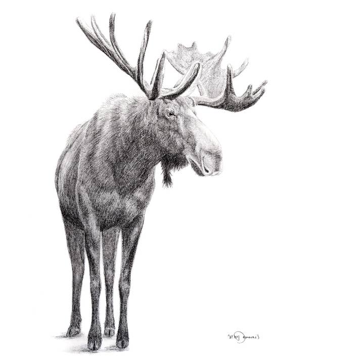 Standing Moose Print for wholesale by LE NID atelier