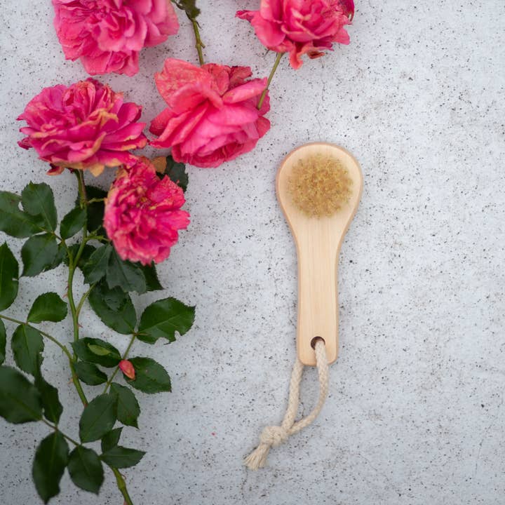 Croll & Denecke - Wholesale Body Brush - Wooden facial brush for spa eco nature3