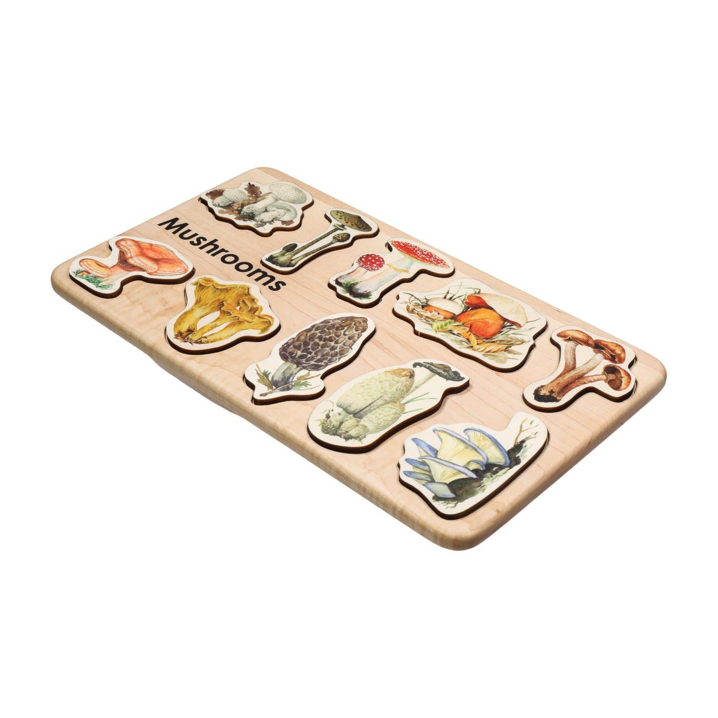 Mirus Toys - Vendita all'ingrosso Puzzle - Bambini - Puzzle a fungo2