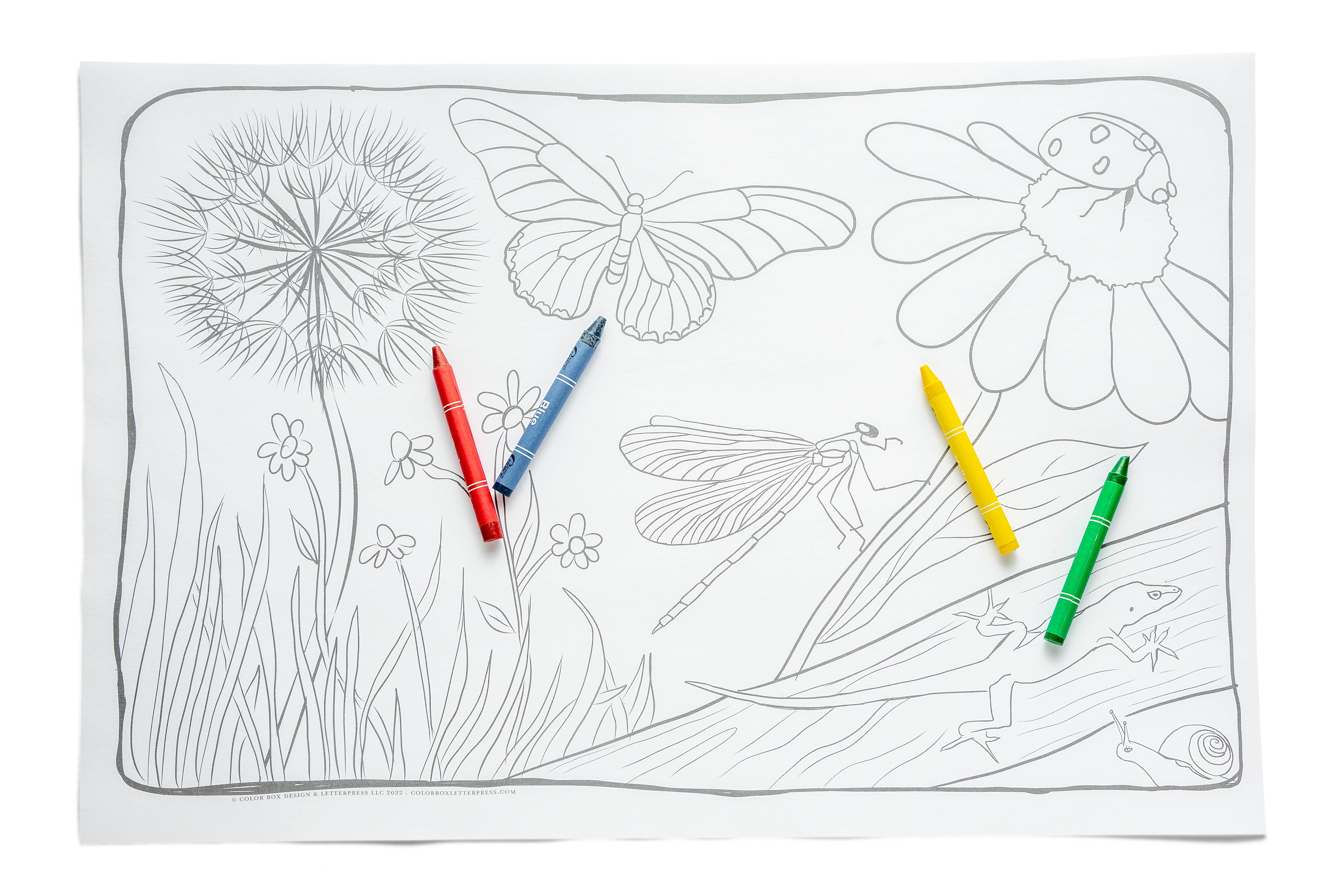 Color Box Design & Letterpress – Großhandel Malmatte – Kind & Baby – Tischsets zum Ausmalen | Nature1