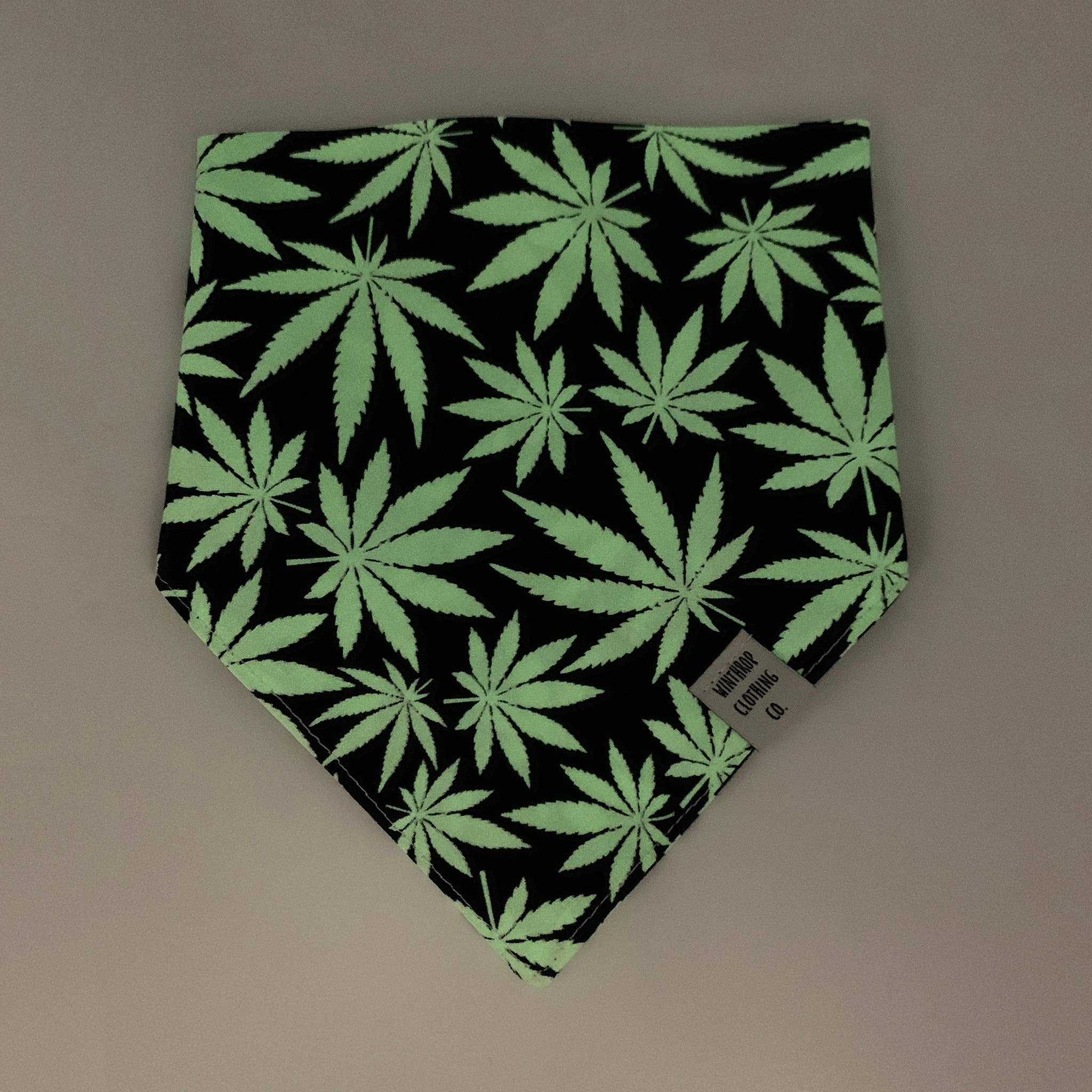 Winthrop Clothing Co. - Vendita all'ingrosso Bandana - Cani - Bandana per cani Glow in the Dark 420 2