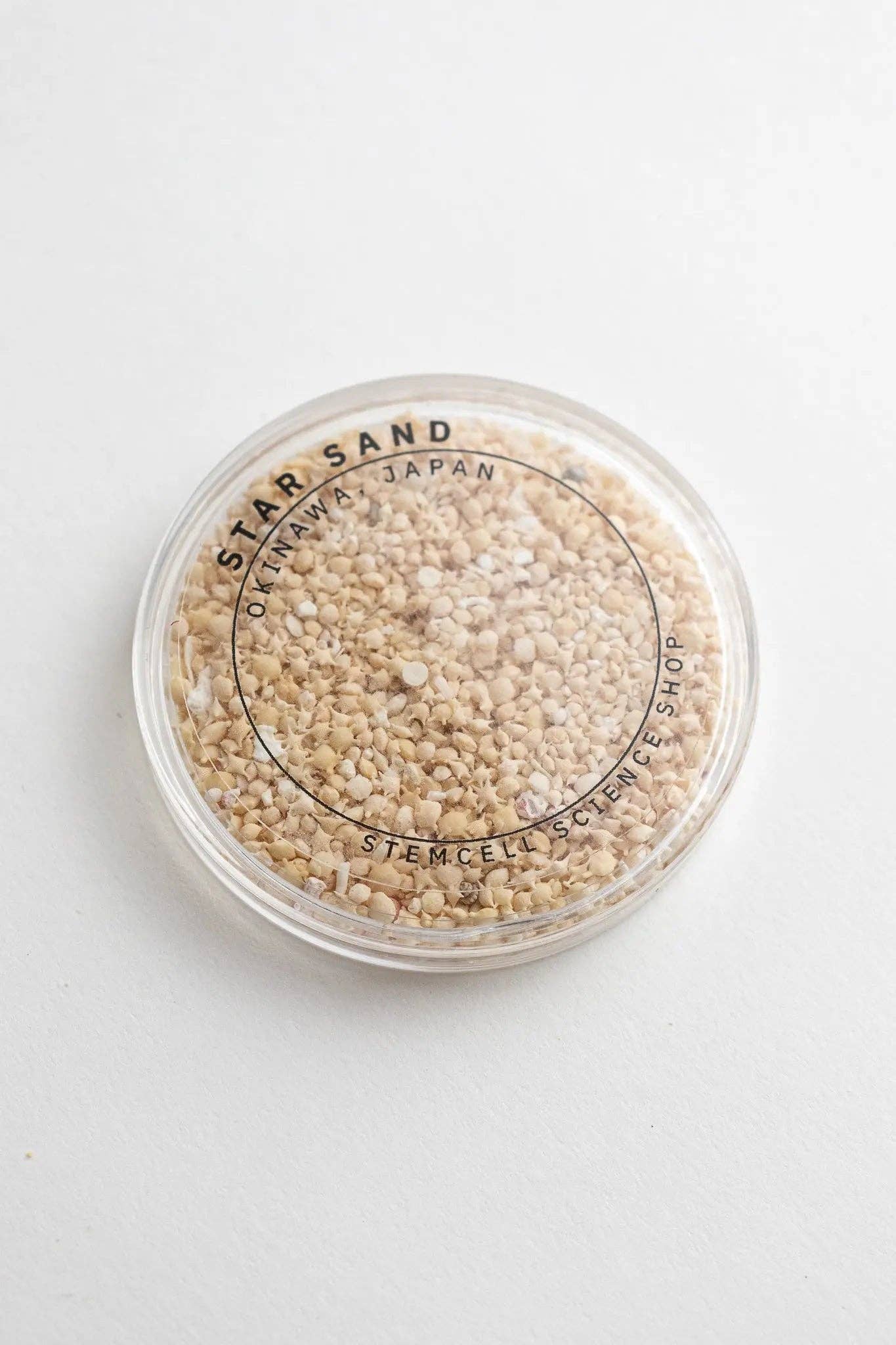 Stemcell Science Shop – wholesale Dekorativt bordsobjekt – Japanskt stjärnsand från Okinawa i rund akrylbehållare1