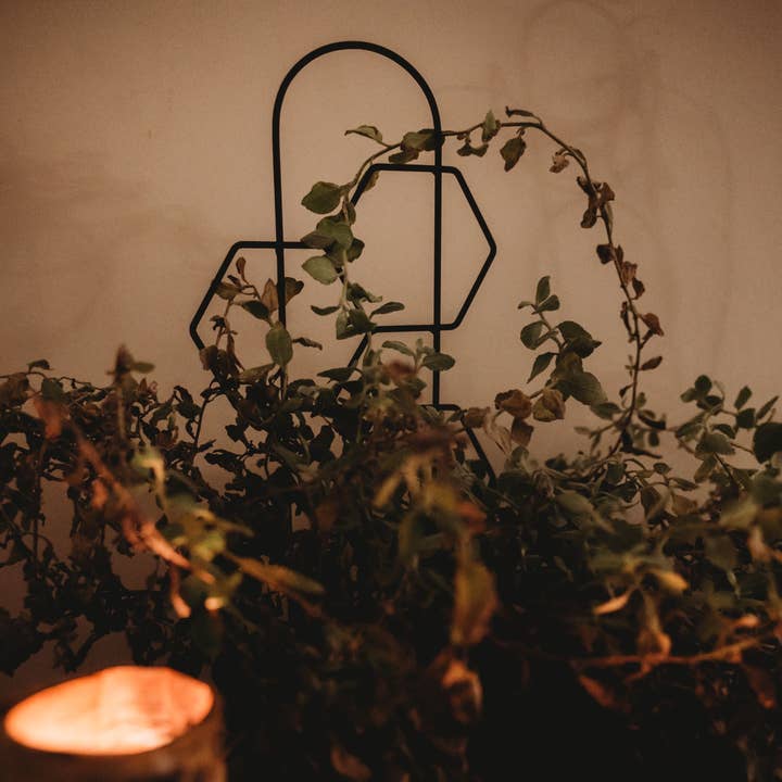 PlantsNsht - Wholesale Trellis - Metal Honeycomb Trellis5