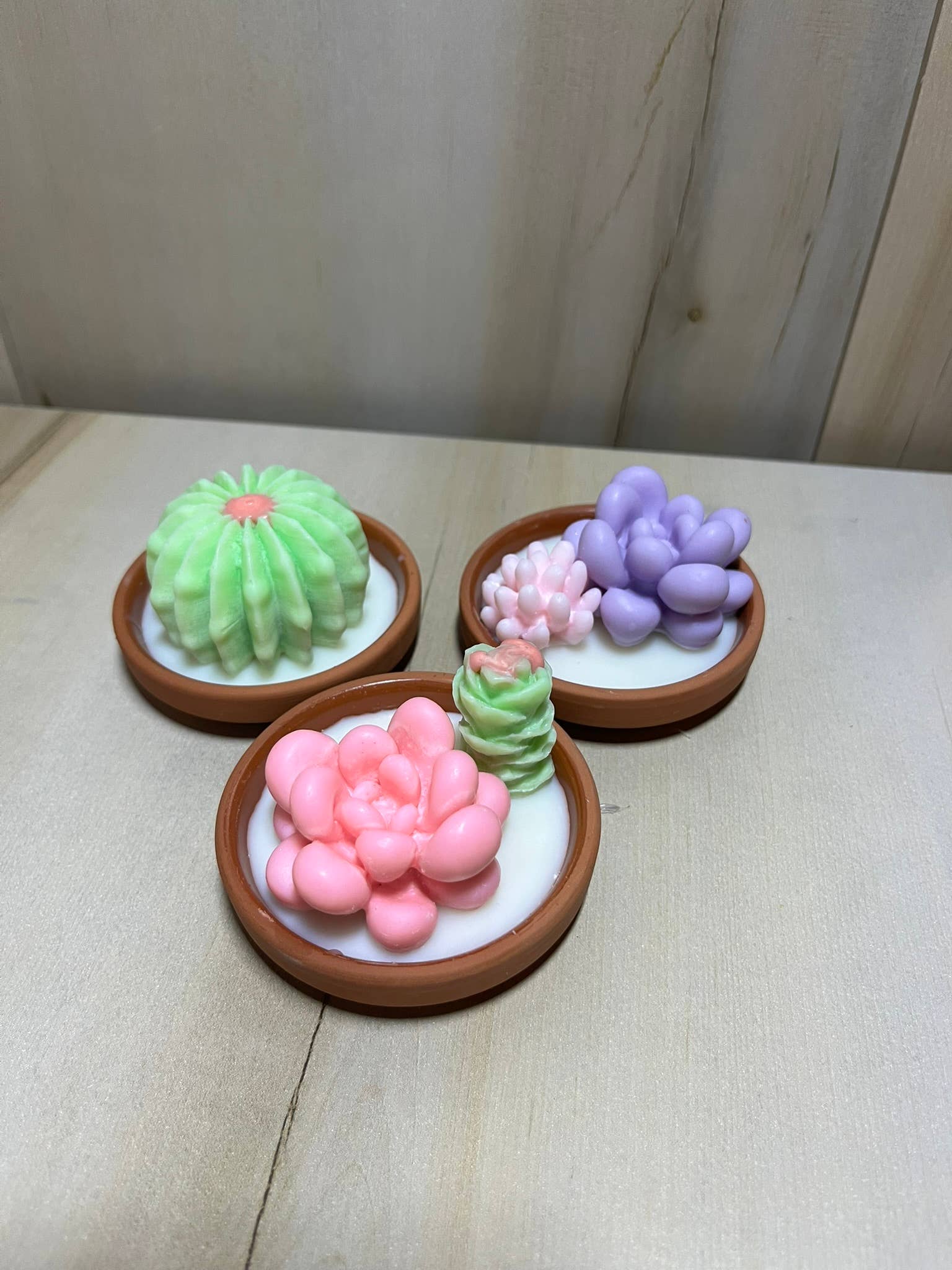 La Binibini - Wholesale Novelty candle - Set of 3 Scented Soy Wax Succulent and Cactus Candle in Dish
