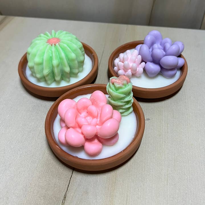 La Binibini - Wholesale Novelty candle - Set of 3 Scented Soy Wax Succulent and Cactus Candle in Dish0