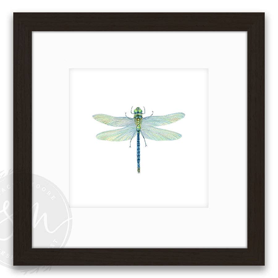 Stacey Moore Ltd - Wholesale Art Print - Dragonfly2