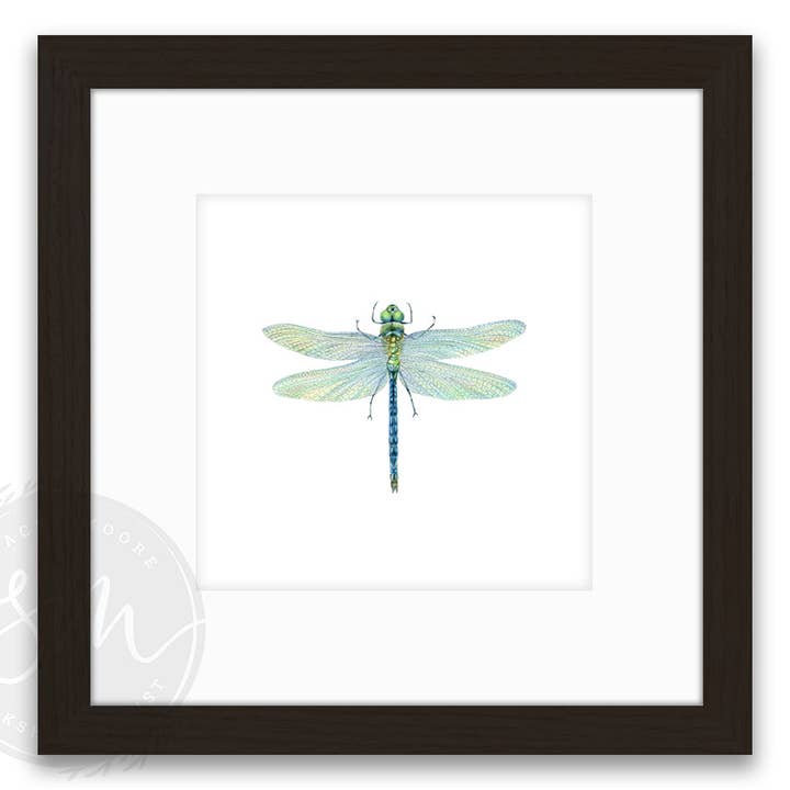 Stacey Moore Ltd - Wholesale Art Print - Dragonfly2