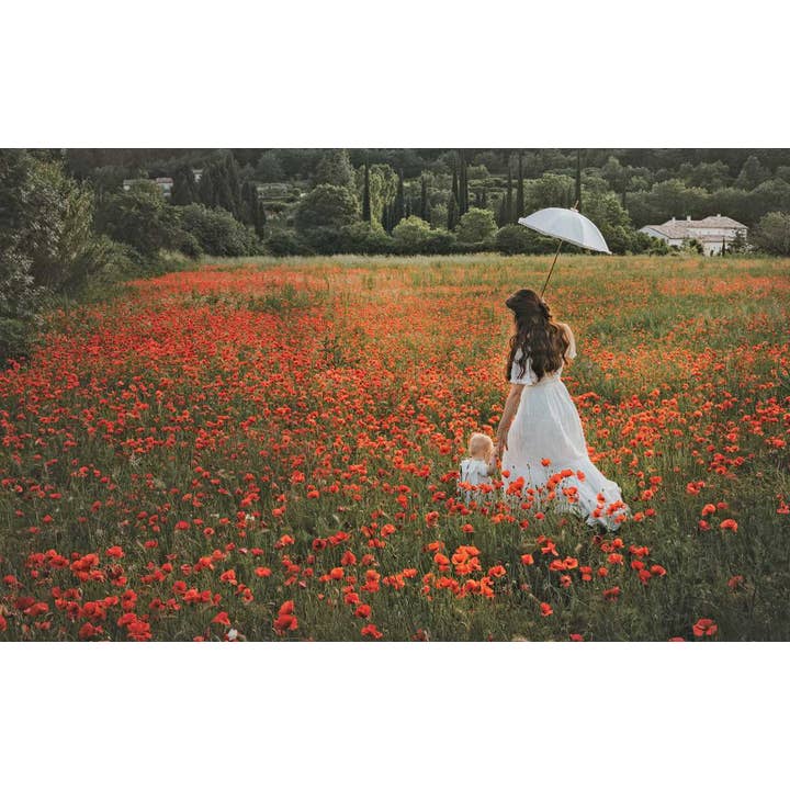 Simon & Schuster - Wholesale Book - Adult - Flowers of Provence by Jamie Beck