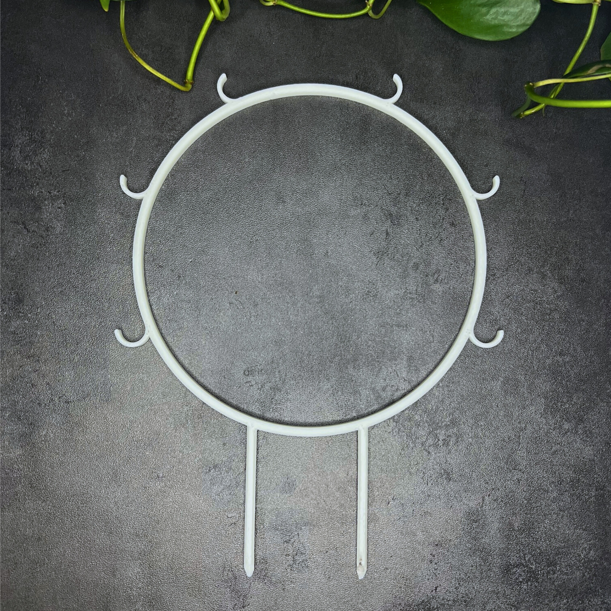 Floraform Creations - Wholesale Trellis - Houseplant Trellis for Climbing Plants, 6 In Hoop with Hooks0