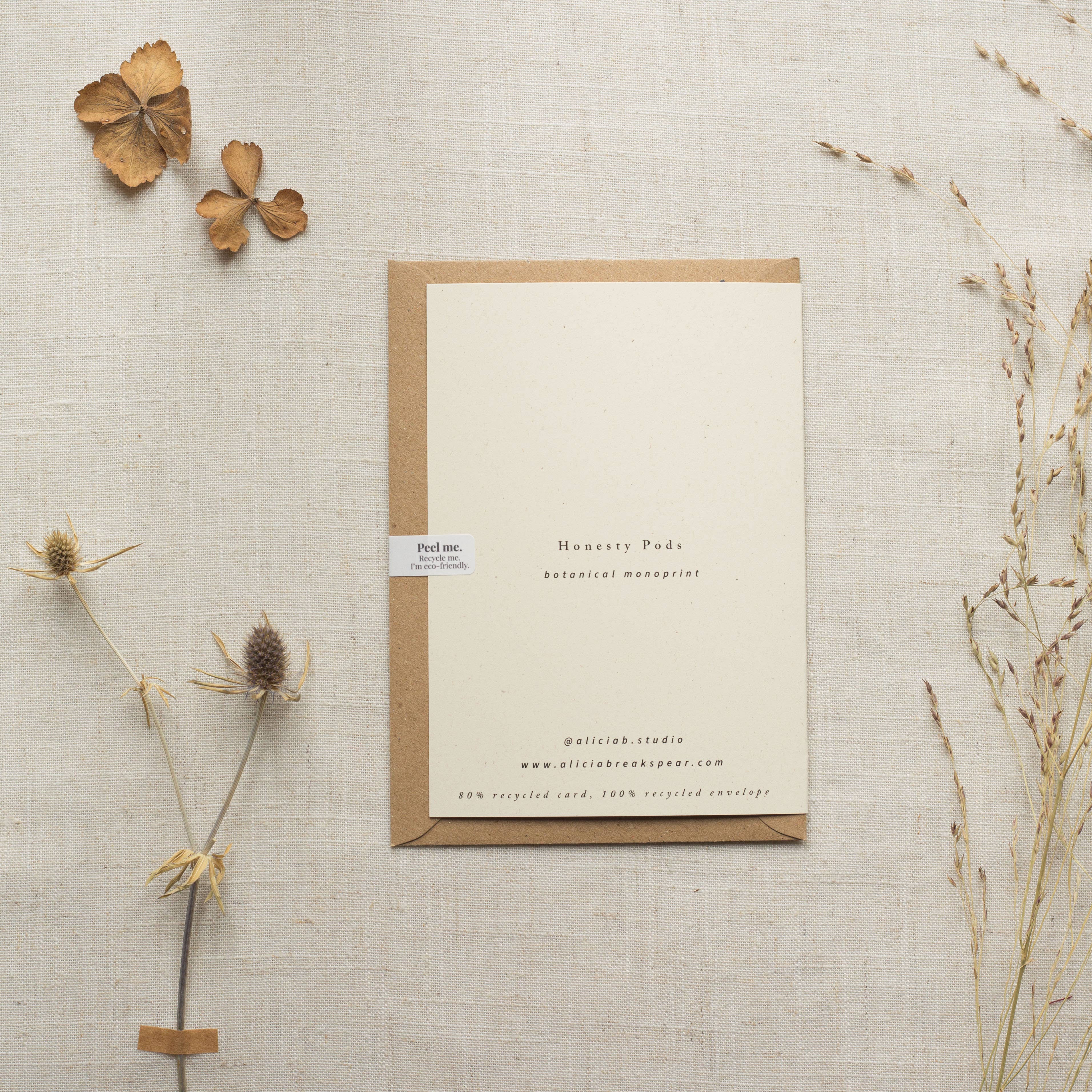 Alicia Breakspear - Wholesale Everyday Greeting Card - Honesty Pods Floral Greeting Card A6 Recycled Card 6