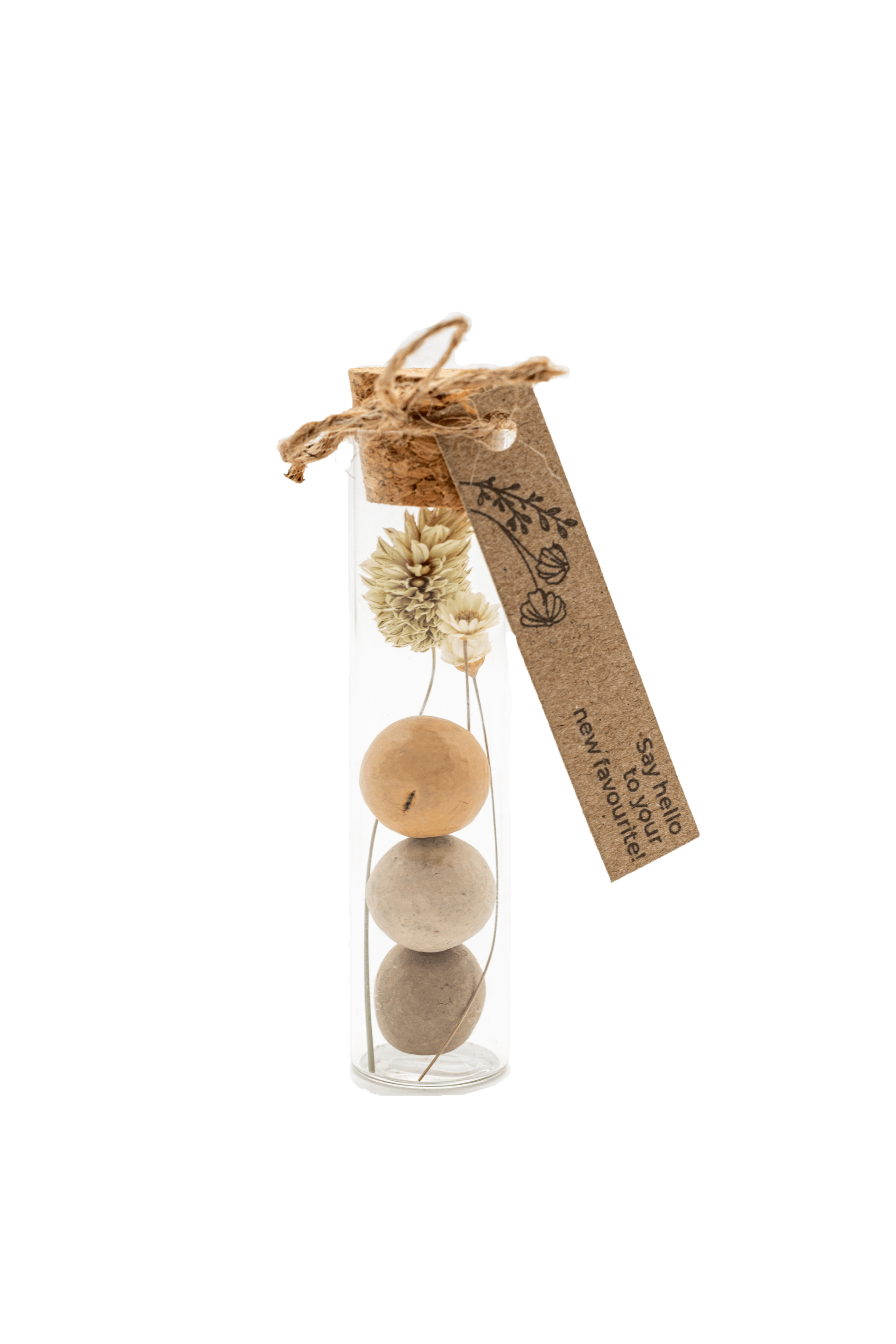 Favou - Wholesale Plant Seeds - Seed Bombs - Flowers - Blossombs in a bottle 1