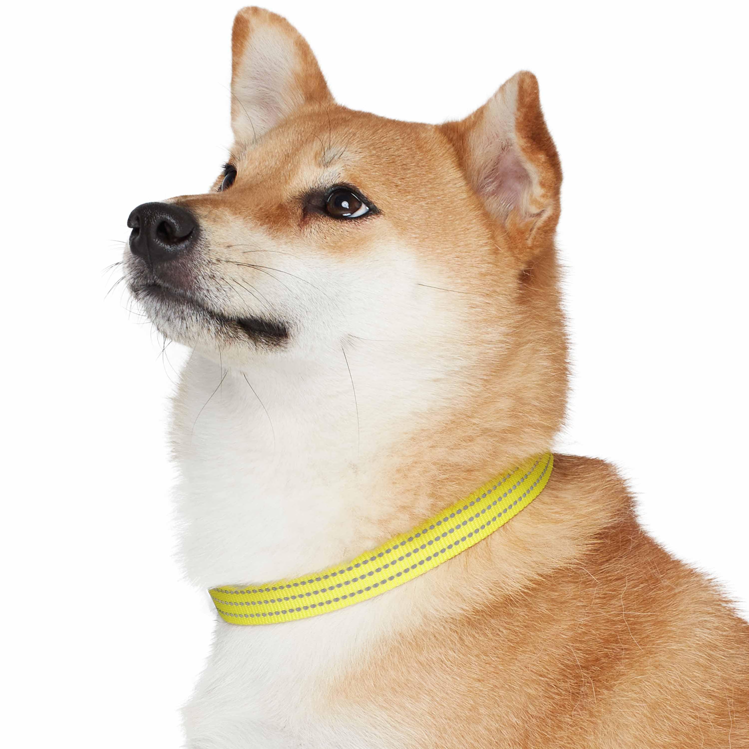 Blueberry Pet - Venta al por mayor Collar - Perros - Collar reflectante para perros Better Basic en 8 colores27