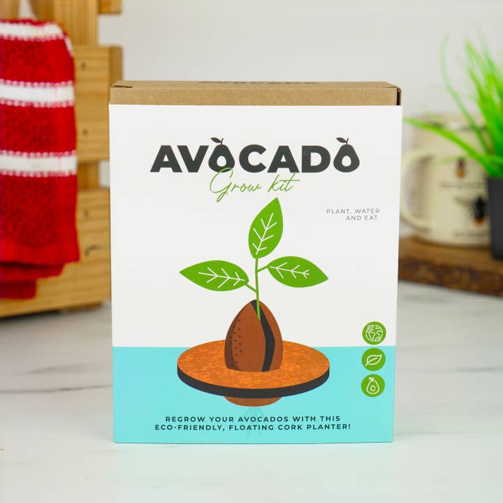 Gift Republic - Wholesale Plant Seeds - Avocado Grow Kit