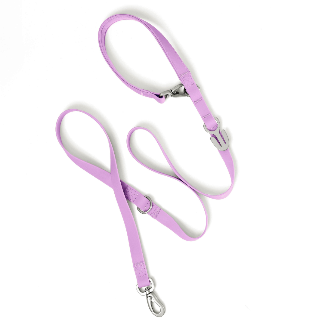 Springland Pets - Wholesale Pet Leash - Dog - Waterproof City Dog Leash, Short Dog Leash (4 Pack)6