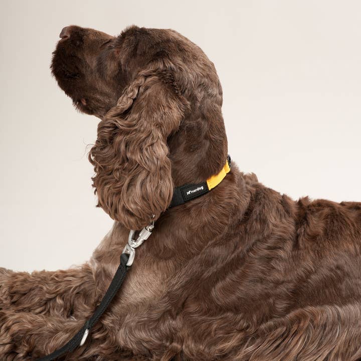 Nordog - Wholesale Pet Leash - Dog - Performance Dog Leash (black)3