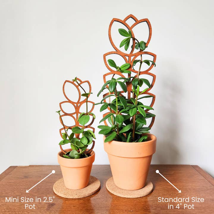 Leaf & Node - Wholesale Trellis - MCM Style Wood Indoor Plant Trellis (Tulip - 2 Sizes)3