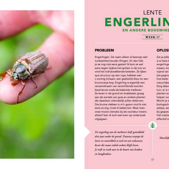 Uitgeverij Snor - Wholesale Home & Garden - Grandma's Green Gardening Tips4