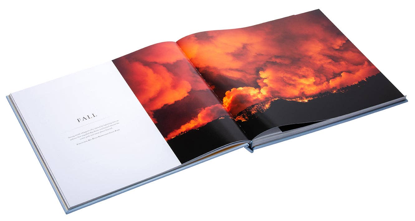 Insight Editions - #1 Pop Culture Publisher - Vente Arts et divertissement - Bay of Life [Édition Collector]4