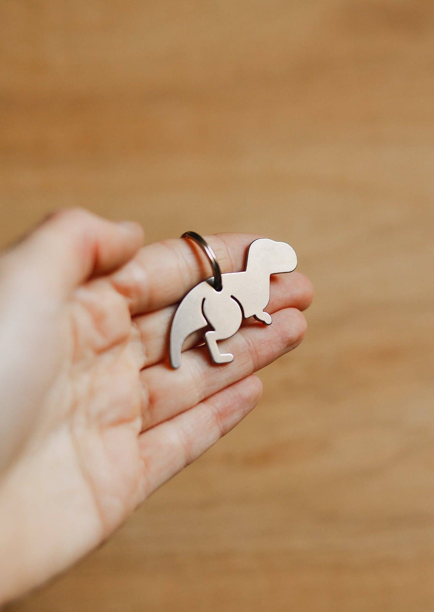 Pivot - Wholesale Keychain - Unisex - Dinosaur Keyring2