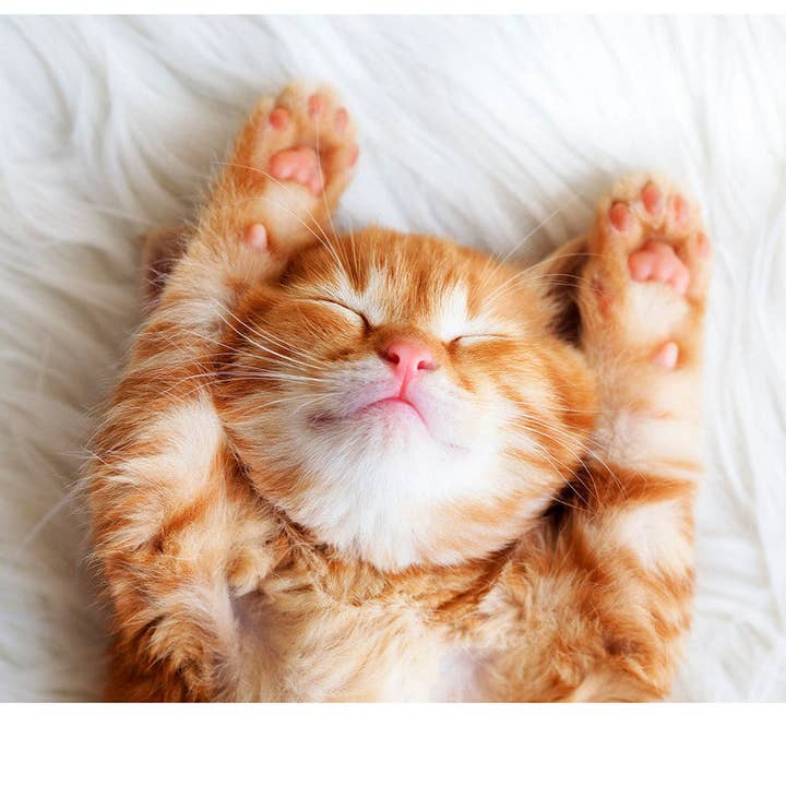 Kitty Game Mat for wholesale by Kraken Dice