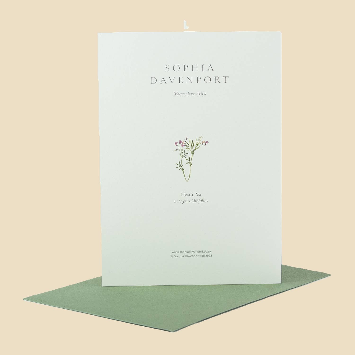 Sophia Davenport - Wholesale Everyday Greeting Card - Wildflower Greeting Cards and Notelets27