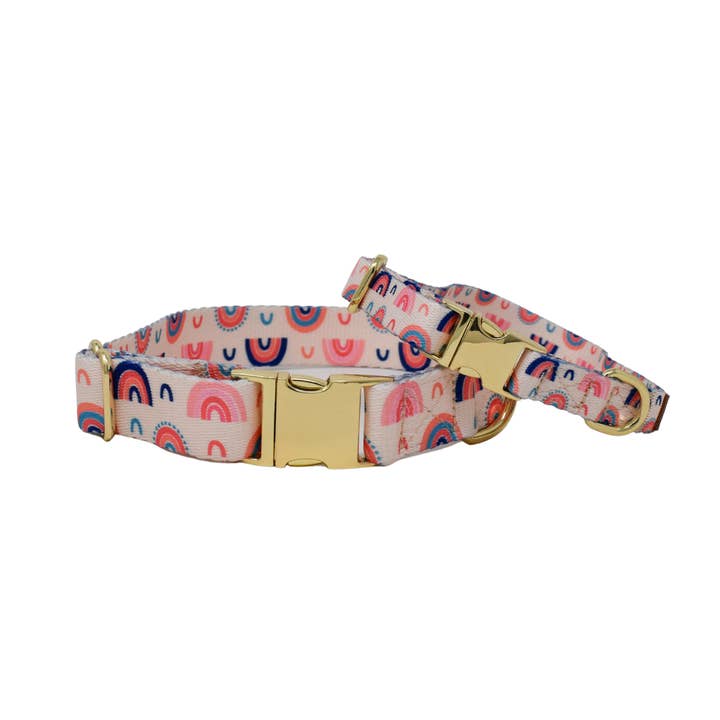 Clarke Dog Collar | Rainbow Dog Collar | Dog Collar and other Purchase Wholesale rainbow dog collar. Free Returns & Net 60 Terms on Faire trending on Faire.