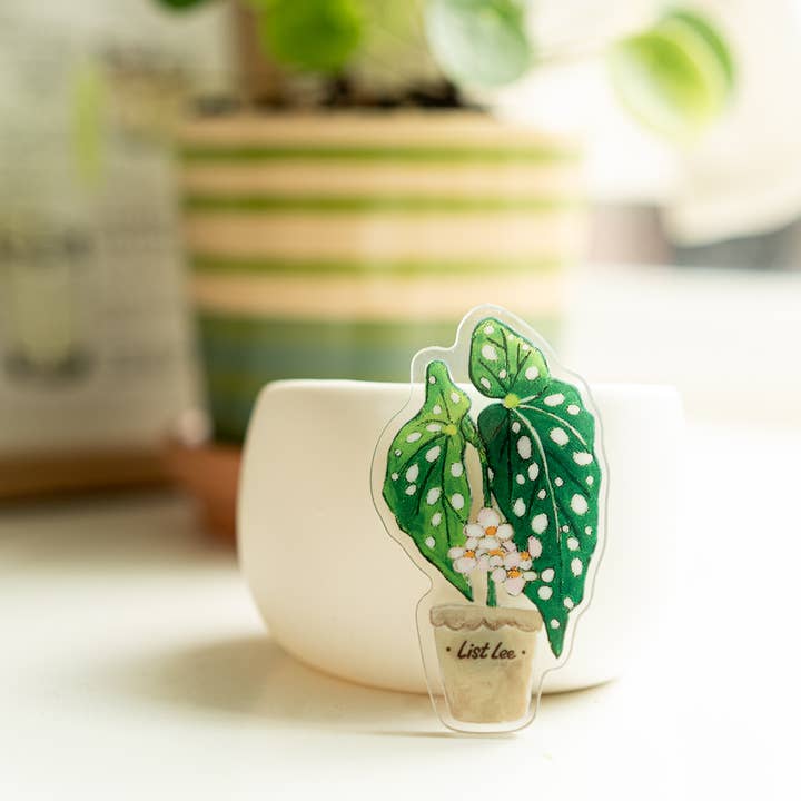 ZOETSTUDIO - Wholesale Magnet - Double-sided Tropical Plant Magnets