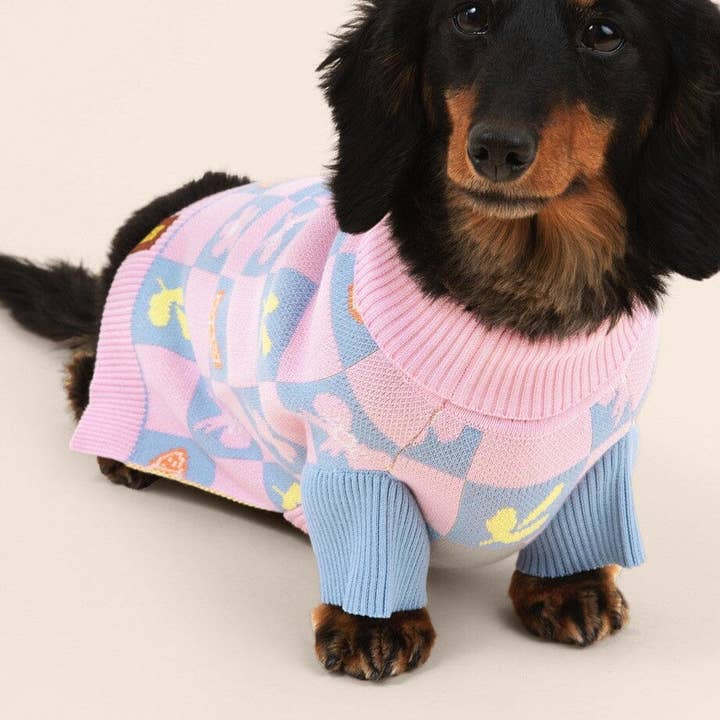 Shelly Roll Neck Knitted Dog Sweater for wholesale by Sunbean