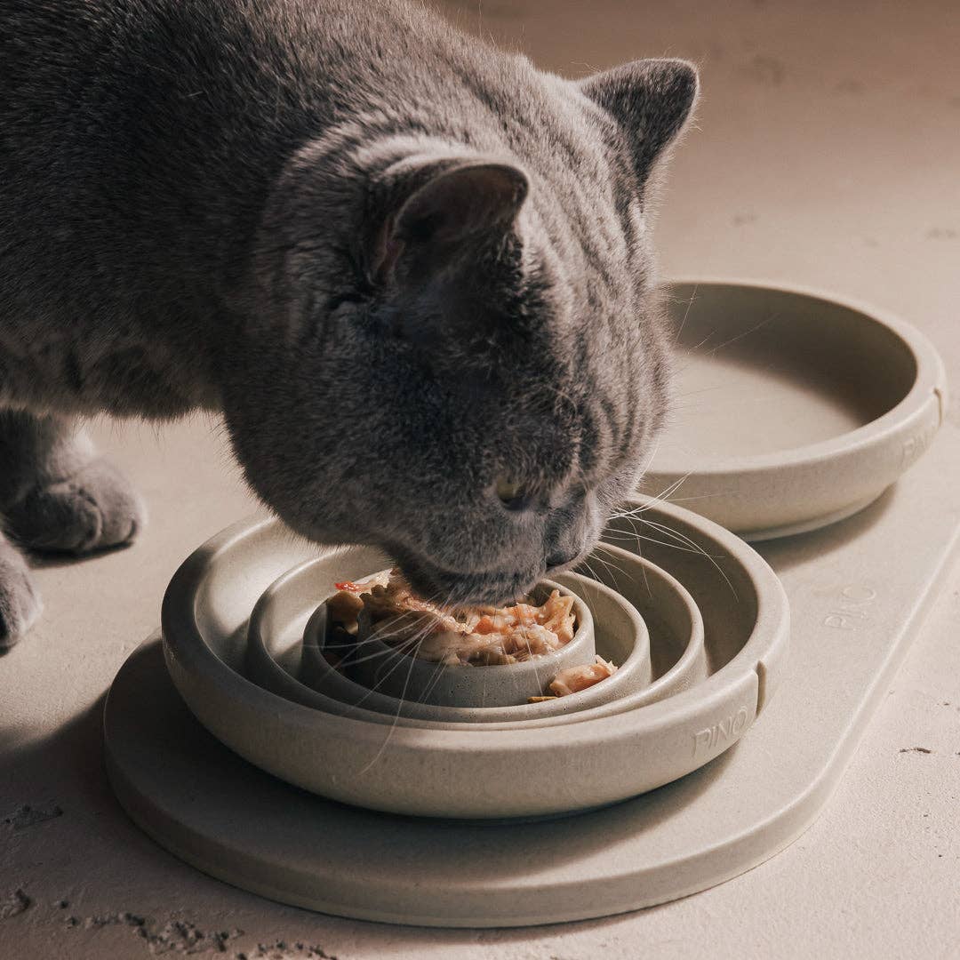 PINO - Wholesale Pet Bowl - Cat - Slow Feeder Bowl for Cats9
