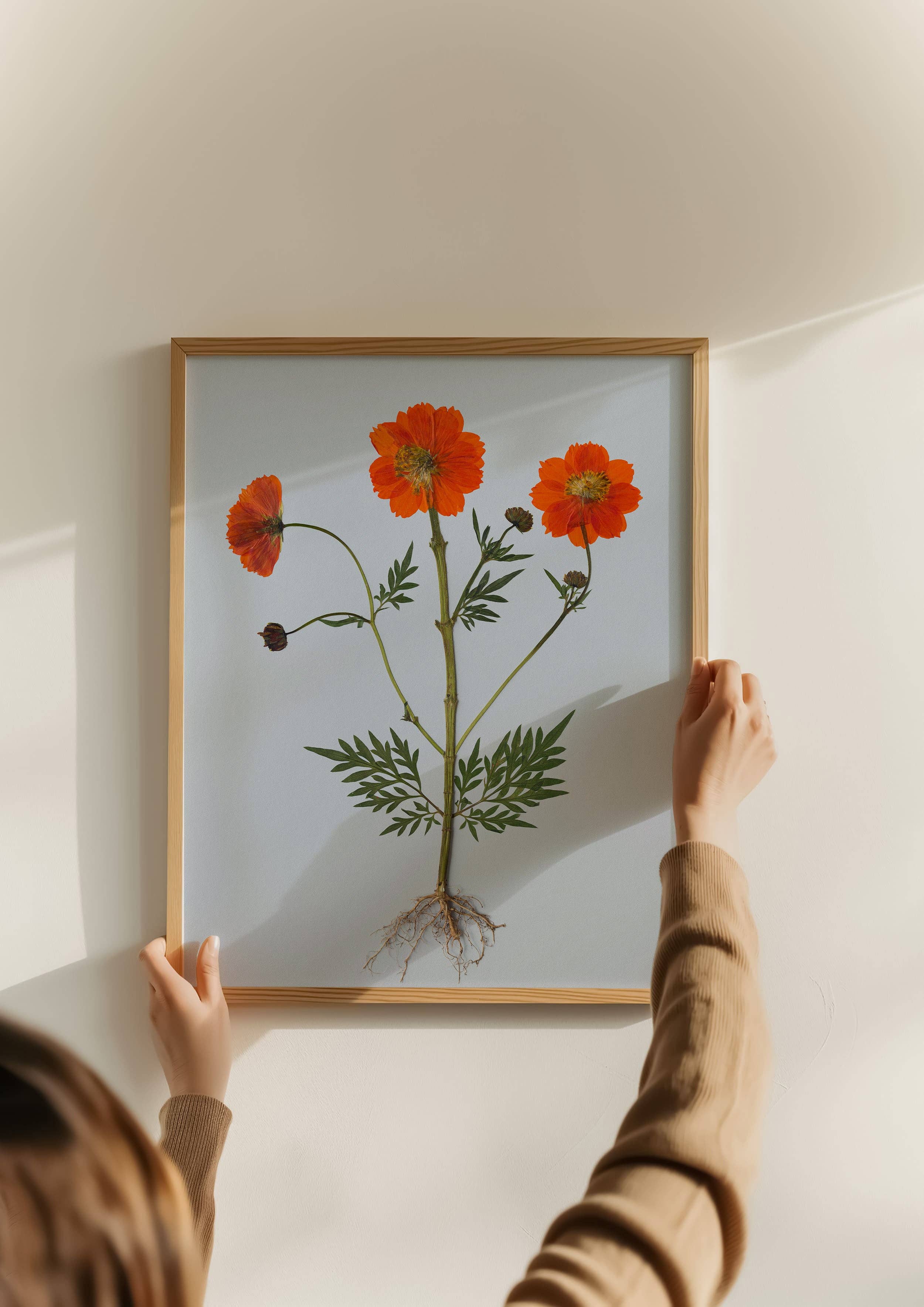 Hope Steinle Pressed Flower Art - Wholesale Art Print - Root Series No. 41