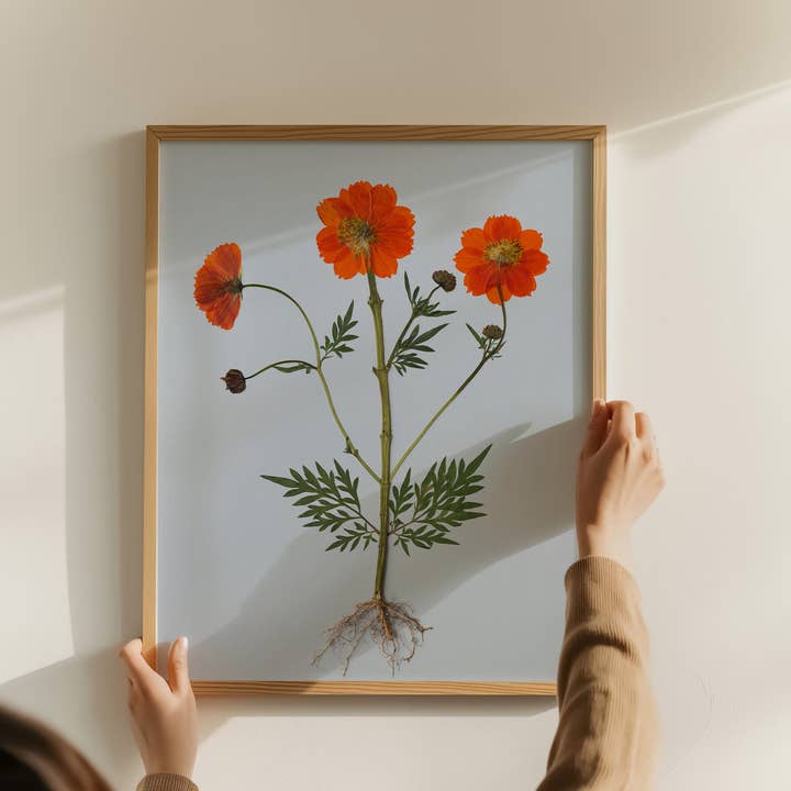 Hope Steinle Pressed Flower Art - Wholesale Art Print - Root Series No. 41