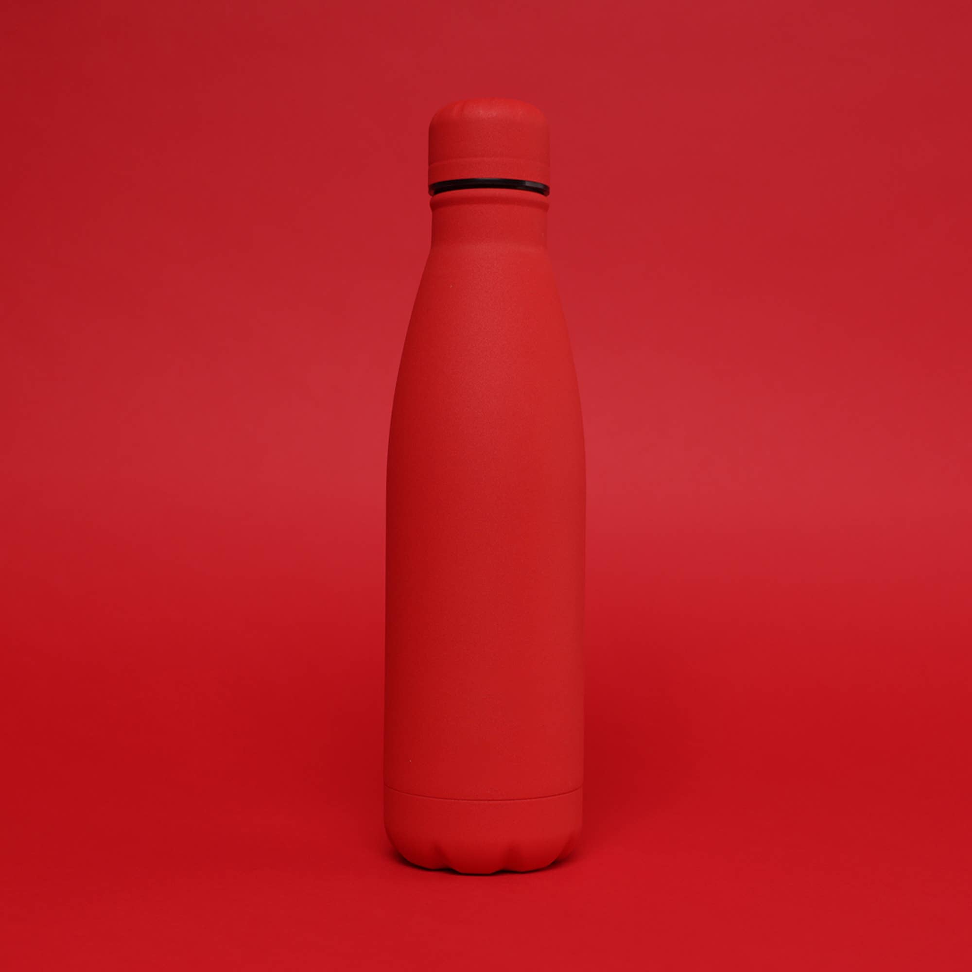 Redbrick - Vendita all'ingrosso Borracce - Bottiglia d'acqua in acciaio inox VERSAI da 500 ml con design Coca-Cola35