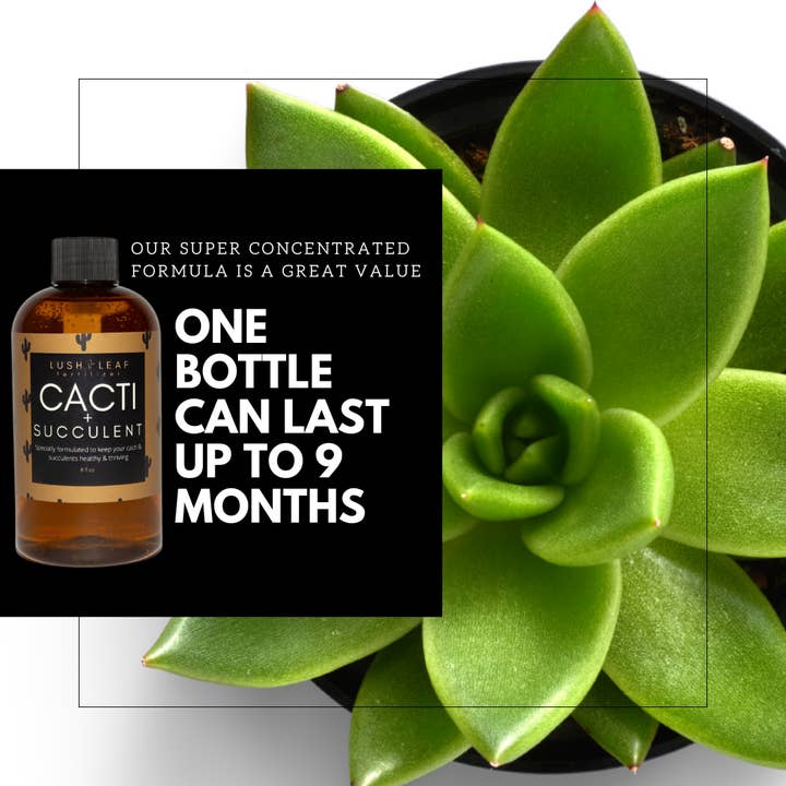 Lush Leaf - Wholesale Fertilizer - Cacti & Succulent Plant Food8