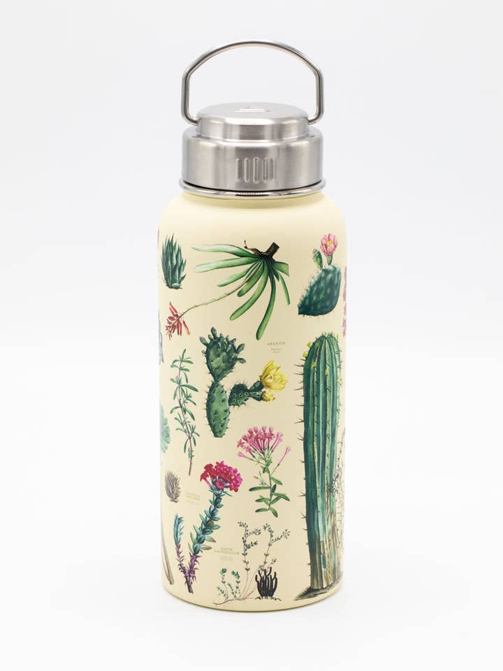 Succulents 32 oz Steel Bottle (Case of 4) for wholesale by Cognitive Surplus