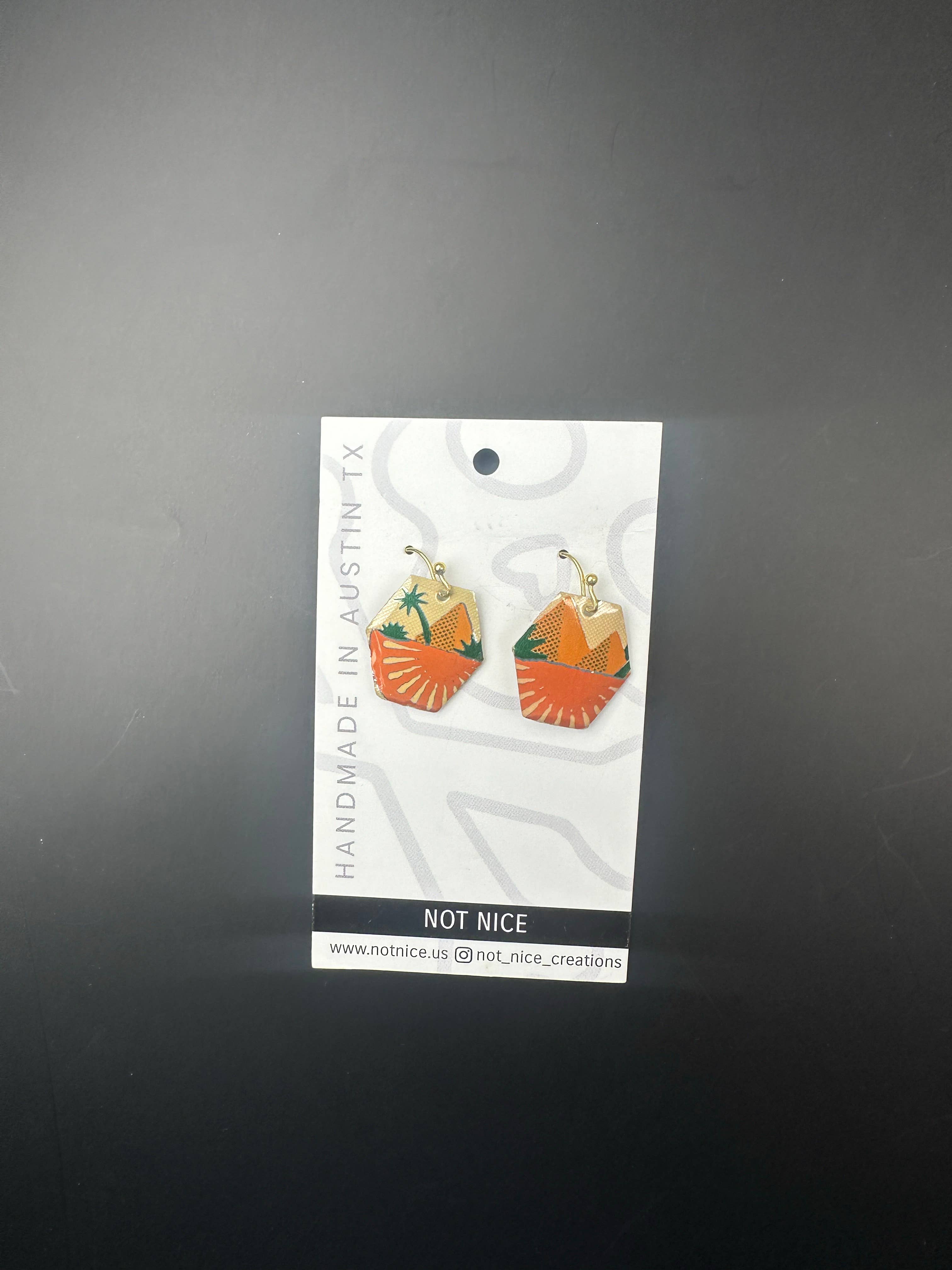 Not Nice - Wholesale Dangle Earrings - Mixed Set of 12 Upcycled Craft Beverage Can Dangle Earrings2