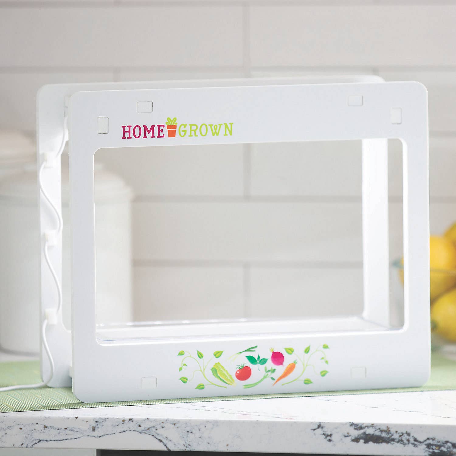 MindWare & Peaceable Kingdom - Wholesale Toy Set - Kids - Home Grown: Aero Growing Lamp1