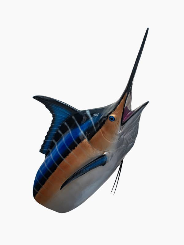 Tête de marlin bleu mural 78,74'' (2m) pour la vente par Bluewave Fish Mounts