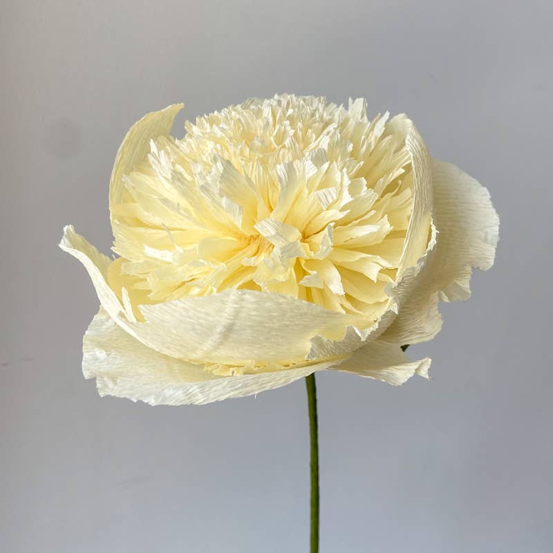 Papercraft Miracles LLC - Vente Fleurs artificielles - Fleur de pivoine charme en papier crépon (petite)3