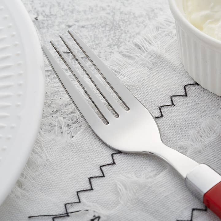 ANNOVA - Wholesale Cutlery set - ANNOVA Sleek 20 Pieces Silverware Set99